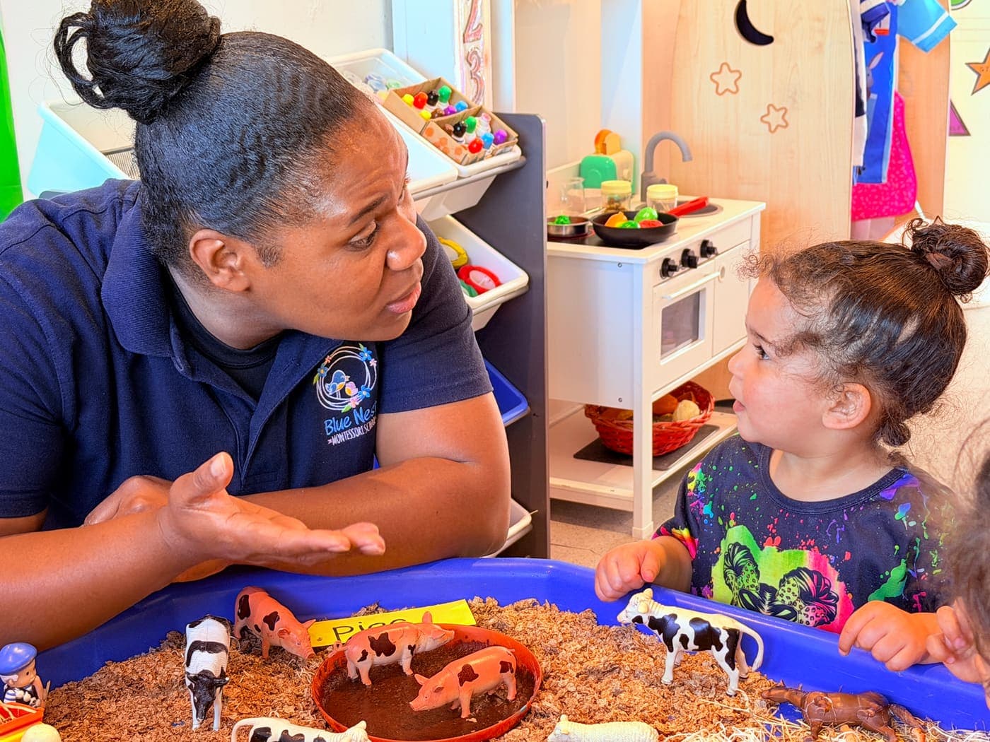 Blue Nest Montessori learning environment