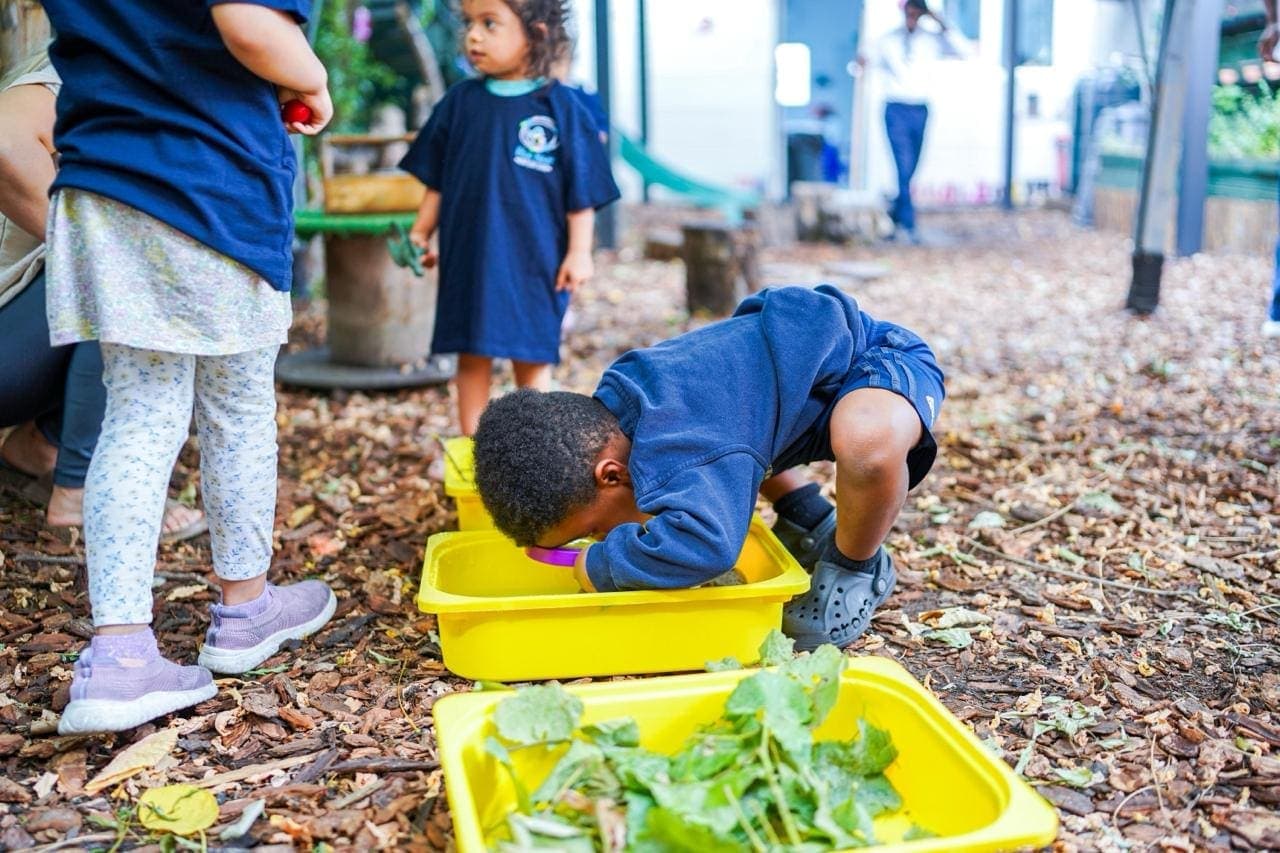 Outdoor play