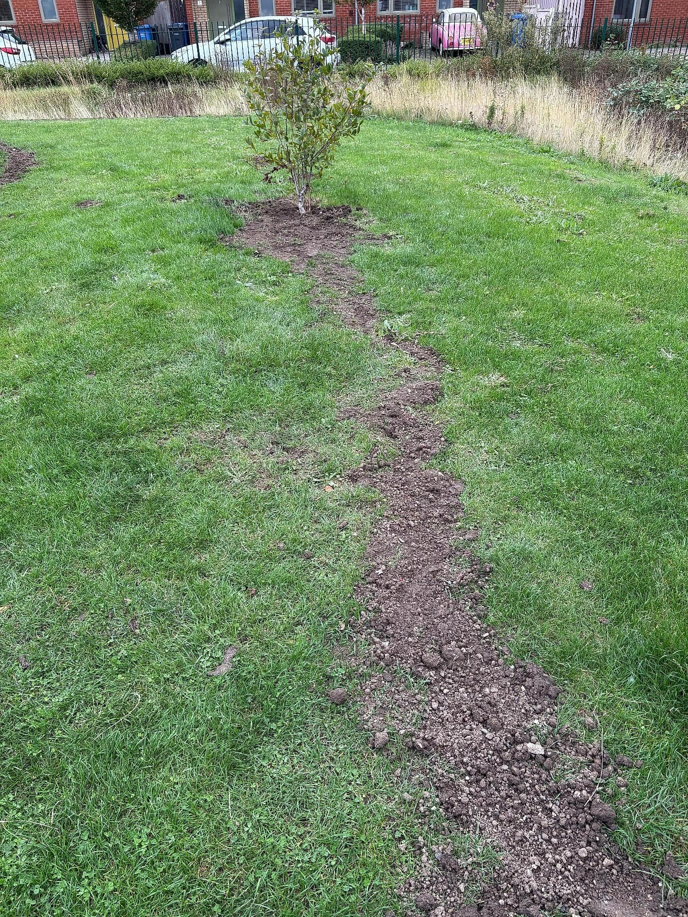 A worn path across the grass of the green