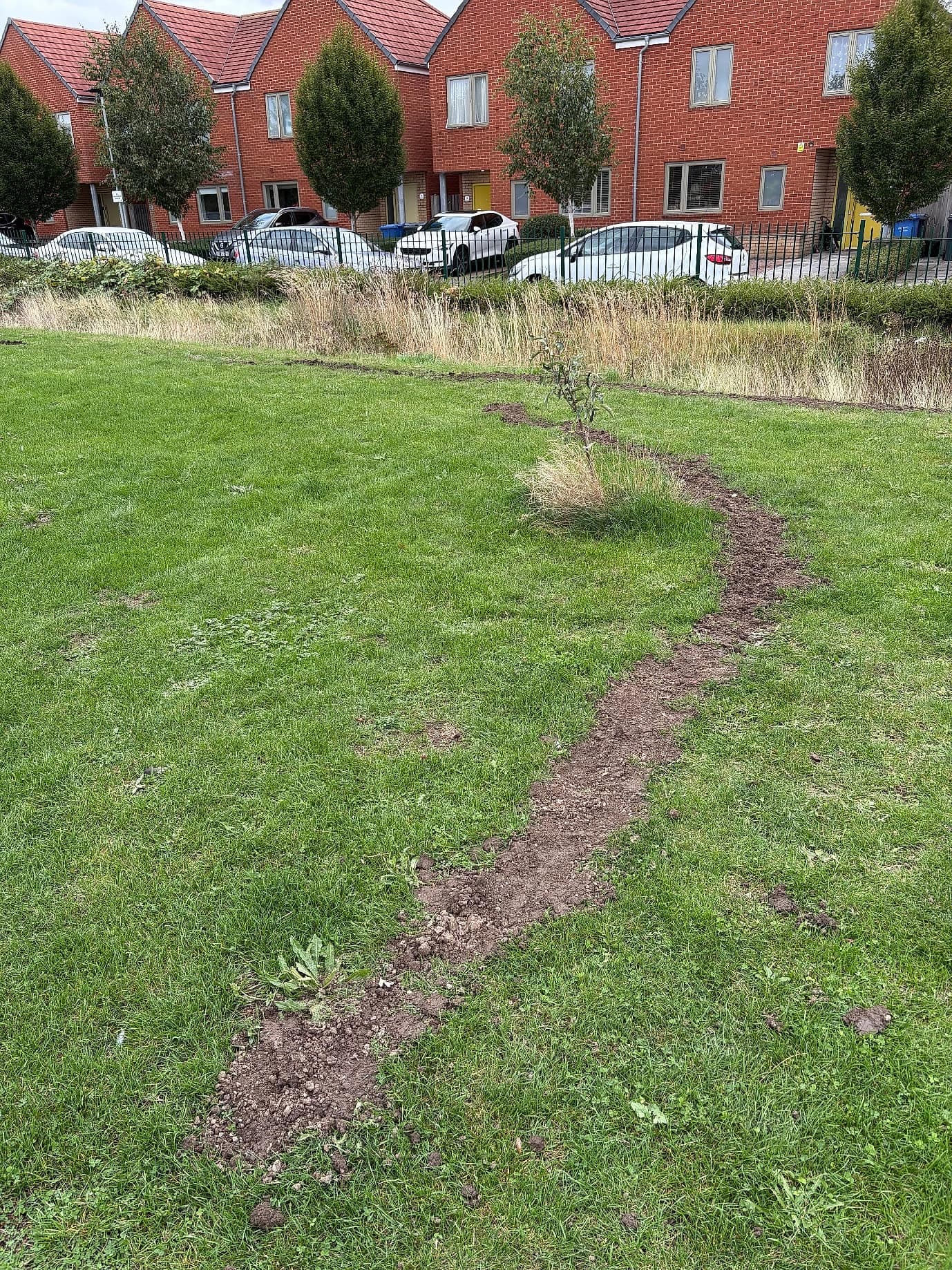 A path winding through the grass