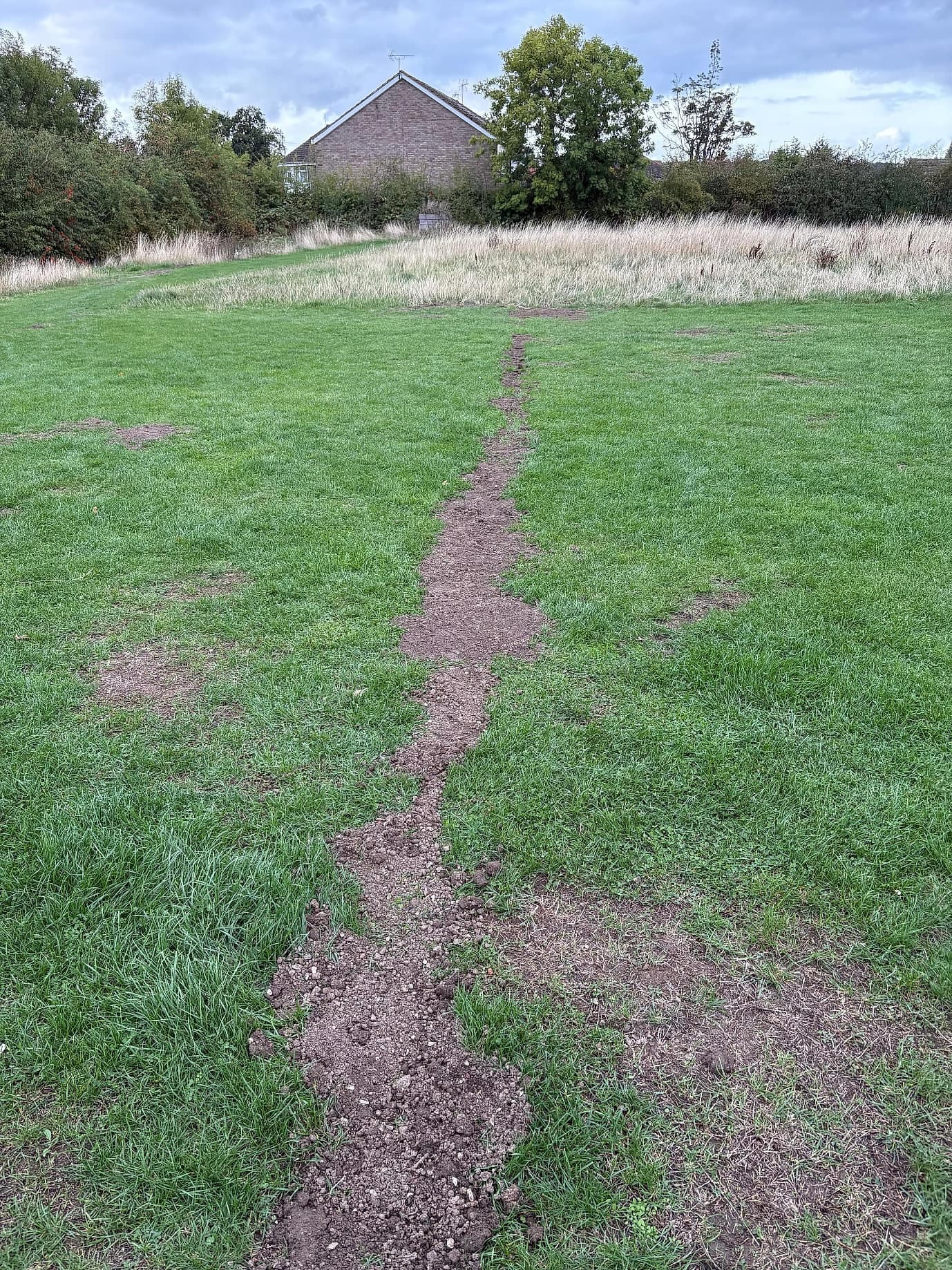 Worn tracks across the lawn