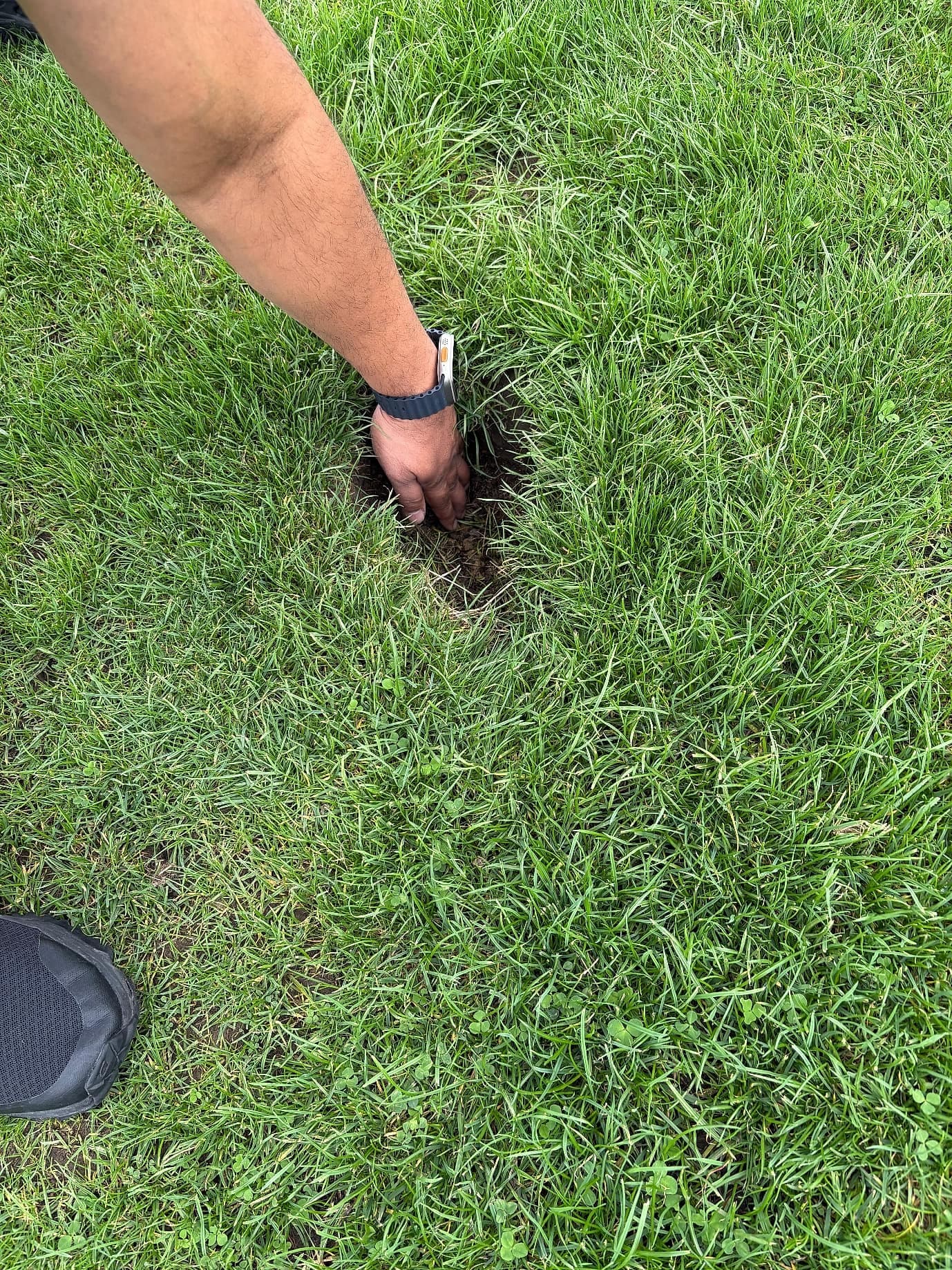 Filling a hole in the lawn with fresh soil by hand